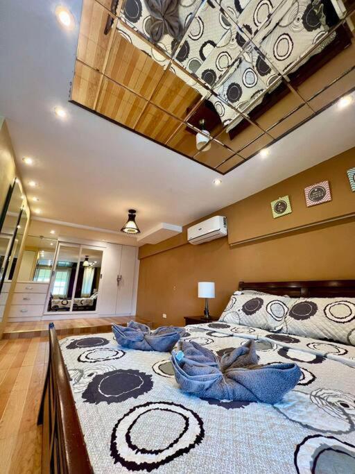 Huge & Vibrant 2 Bedroom Unit In *